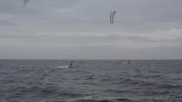 Los Atletas Montan Cometas Surfin Mar Kiev Verano Clima Ventoso — Vídeo de stock