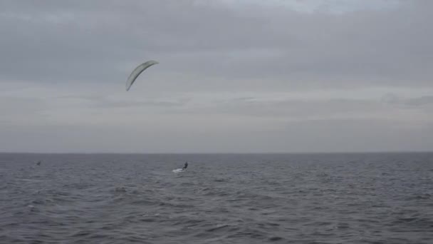 Atleten Rijden Kitesurfin Kiev Zee Zomer Winderig Weer Wedstrijd Gekleurde — Stockvideo