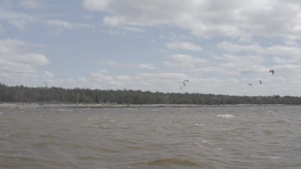 Sportler Fahren Kitesurfen Kiewer Meer Sommer Windiges Wetter Wettbewerb Farbige — Stockvideo