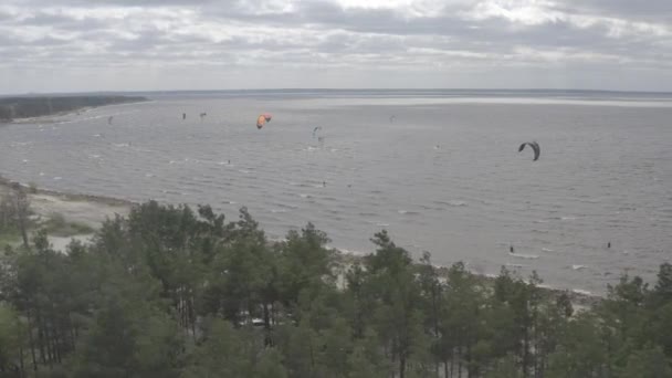 Atletler Uçurtma Sörfüne Biner Kiev Denizi Yaz Rüzgarlı Bir Hava — Stok video