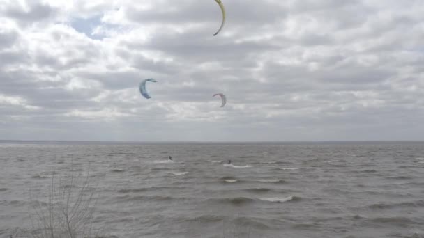 Los Atletas Montan Cometas Surfin Mar Kiev Verano Clima Ventoso — Vídeo de stock