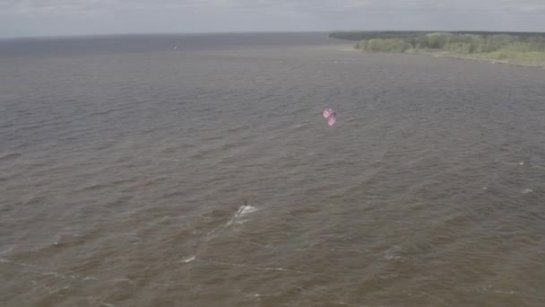 Atleten Rijden Kitesurfin Kiev Zee Zomer Winderig Weer Wedstrijd Gekleurde — Stockvideo