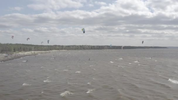 Athletes Ride Kite Surfin Kiev Sea Summer Windy Weather Competition — Stock Video