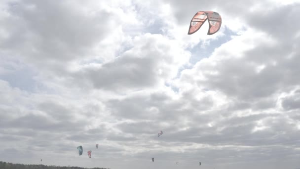 Los Atletas Montan Cometas Surfin Mar Kiev Verano Clima Ventoso — Vídeos de Stock