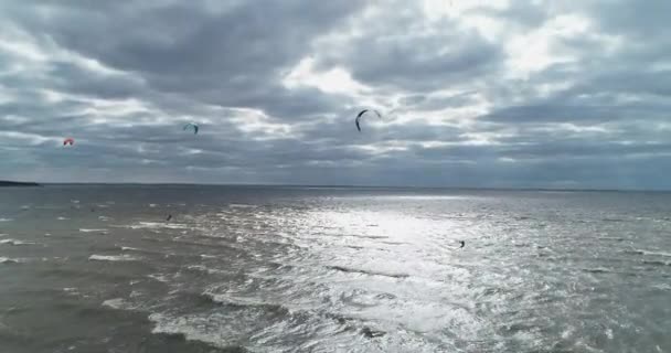 選手はカイトサーフィンに乗る キエフ海 風の強い日だ 競争だ 帆の色 空中だ ウクライナだ キエフ — ストック動画
