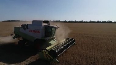 Buğday tarlasını hasat etmek için biçme makinesi. Buğday tarlasını hasat eden ekin biçme makinesini birleştirin. Hasattan sonra bir tarla. Havadan. Ukrayna. Kharkiv