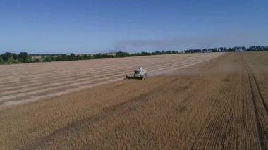 Buğday tarlasını hasat etmek için biçme makinesi. Buğday tarlasını hasat eden ekin biçme makinesini birleştirin. Hasattan sonra bir tarla. Havadan. Ukrayna. Kharkiv