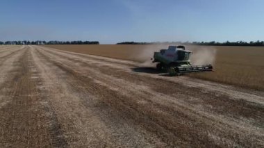 Buğday tarlasını hasat etmek için biçme makinesi. Buğday tarlasını hasat eden ekin biçme makinesini birleştirin. Hasattan sonra bir tarla. Havadan. Ukrayna. Kharkiv