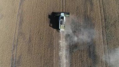 Buğday tarlasını hasat etmek için biçme makinesi. Buğday tarlasını hasat eden ekin biçme makinesini birleştirin. Hasattan sonra bir tarla. Havadan. Ukrayna. Kharkiv