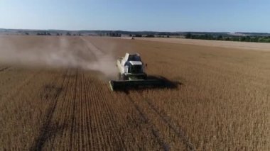 Buğday tarlasını hasat etmek için biçme makinesi. Buğday tarlasını hasat eden ekin biçme makinesini birleştirin. Hasattan sonra bir tarla. Havadan. Ukrayna. Kharkiv