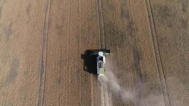 收割机收割麦田工作 组合收割机农机收获金熟小麦田 收割后的田野 乌克兰 哈尔科夫 — 图库视频影像