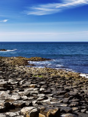 The famous Giant's Causeway of Northern Ireland clipart
