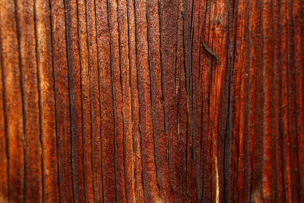 Přírodní detaily sušenými dřeva — Stock fotografie