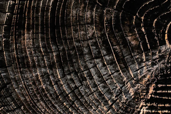 Detalles naturales de la madera secada al sol —  Fotos de Stock