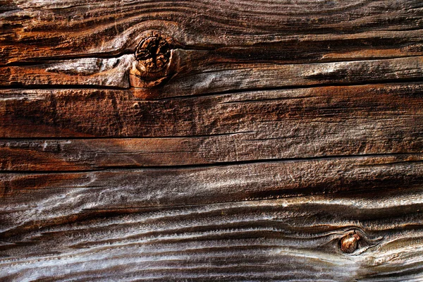 晒干木头的自然细节 — 图库照片