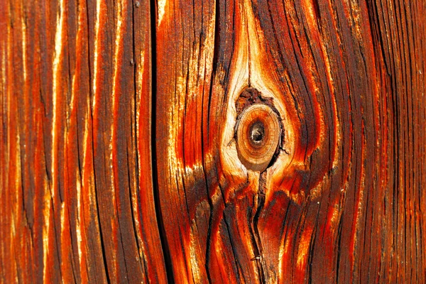 Dettagli naturali del legno essiccato al sole — Foto Stock