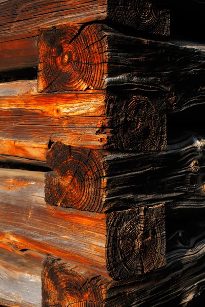 Φυσικά στοιχεία του ξύλου λιαστή — Φωτογραφία Αρχείου