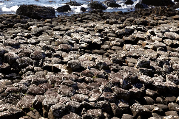 The famous Giant's Causeway of Northern Ireland — Stock Photo, Image