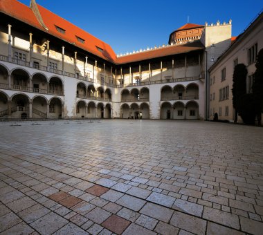 Wawel Kraliyet Kalesi Krakow, Polonya.
