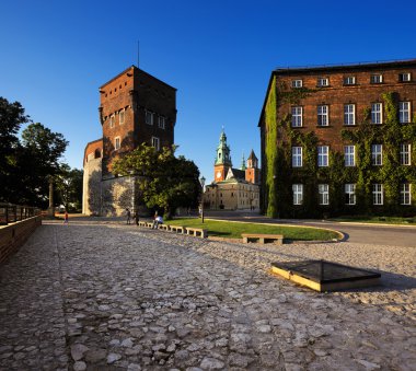 Wawel Kraliyet Kalesi Krakow, Polonya.