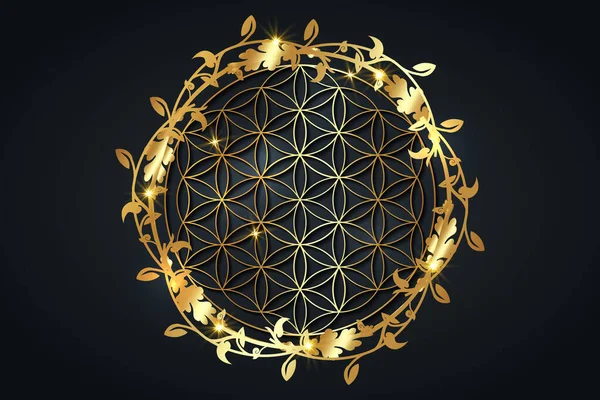 Hayatın çiçeği, altın mandala, kutsal geometri. Ahenk ve dengenin parlak altın sembolü. Mistik tılsım, lüks çiçekler ve siyah arka planda izole edilmiş vektör.