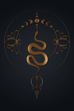 Sihirli Gizemli Yılan, Ay evreleri. Kutsal geometri, altın lüks Pagan Vika tanrıçası sembolü. Eski altın cadı bayrağı, Lotus çiçekleri enerji çemberi, boho tarzı, siyah arkaplanda izole edilmiş vektör.