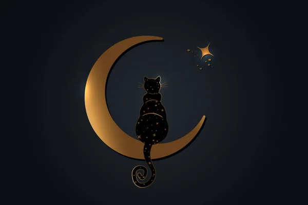 Gato Negro Sentado Luna Creciente Mira Las Estrellas Símbolo Wicca — Archivo Imágenes Vectoriales