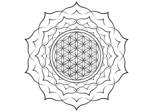Livets Blomma Yantra Mandala Lotusblomman Den Heliga Geometrin Svart Tryck — Stock vektor