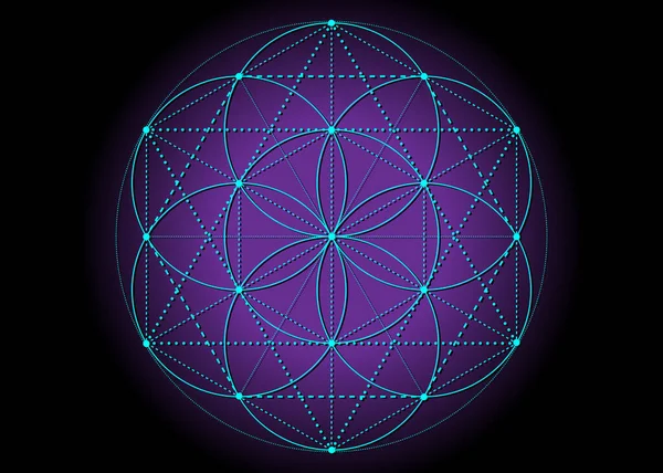 生命の花 生命のシンボルの種神聖な幾何学 錬金術の神秘的な曼荼羅の密教記号 紫色の背景に単離されたベクトルブルーネオン明るい色効果 — ストックベクタ