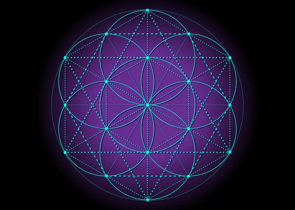 Flor Vida Semilla Vida Símbolo Geometría Sagrada Mandala Místico Alquimia — Archivo Imágenes Vectoriales