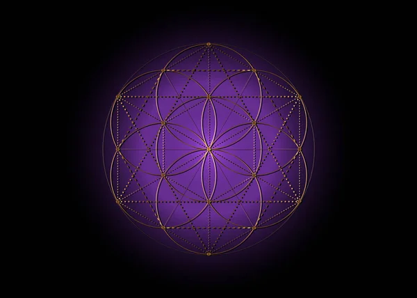 Flower Life Seed Life Symbol Sacred Geometry Mystic Mandala Alchemy — Stock vektor