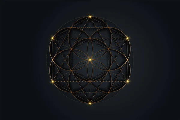 生命の花 生命のシンボルの種神聖な幾何学 錬金術の神秘的な曼荼羅の密教記号 ブラックを基調としたゴールデンラグジュアリーロゴベクトル — ストックベクタ