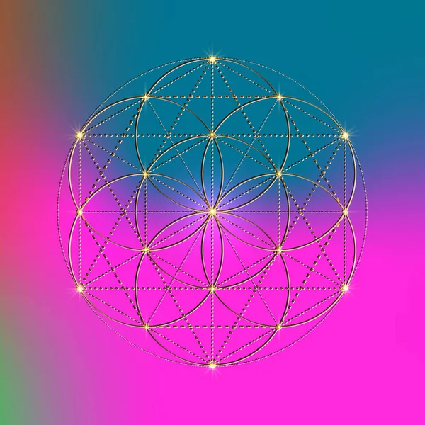 Flower Life Seed Life Symbol Sacred Geometry Mystic Mandala Alchymie — Stockový vektor