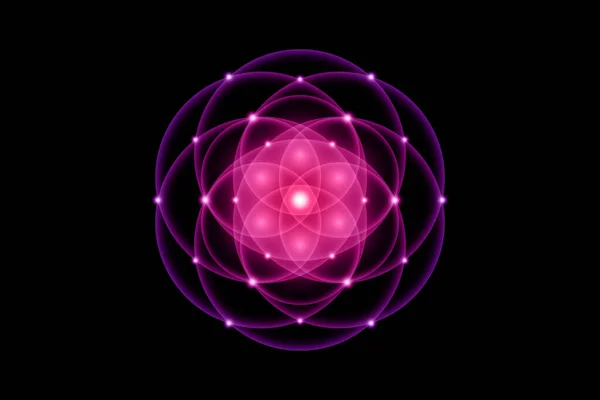 生命の種 神聖な幾何学 生命の花 光のロゴ調和とバランスの象徴 輝く幾何学的装飾 黒の背景に隔離された紫色の蓮のベクトル — ストックベクタ