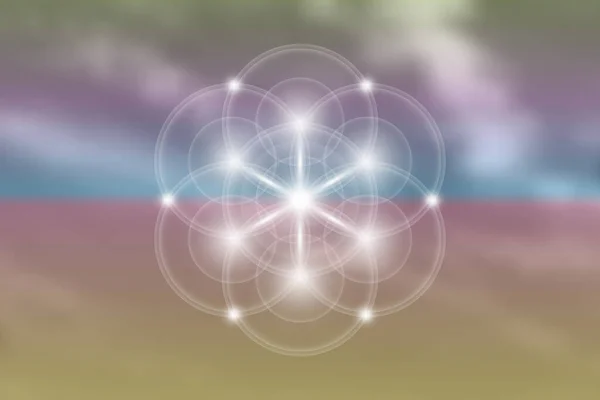 Semena Života Duchovní Posvátná Geometrie Květ Života Lotosové Světlo Logo — Stockový vektor