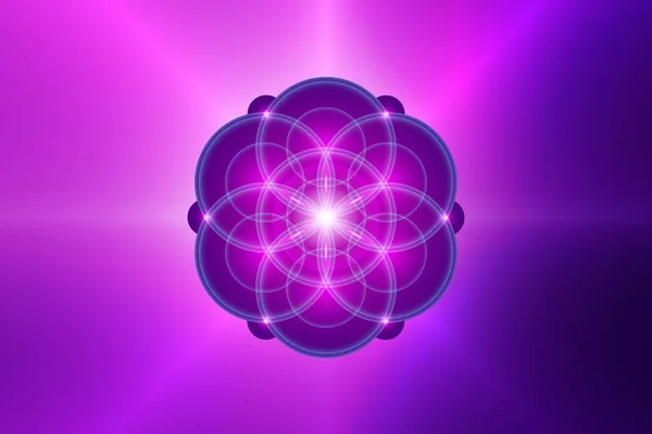 生命の種 霊的な神聖な幾何学 生命の花 ハスのネオンロゴ調和とバランスのシンボル 幾何学的装飾 リラックス 紫色の背景に隔離されたベクトルを輝く — ストックベクタ