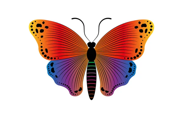 Dekorativ Wie Ein Schmetterling Slogan Mit Bunten Schmetterling Logo Vorlage — Stockvektor