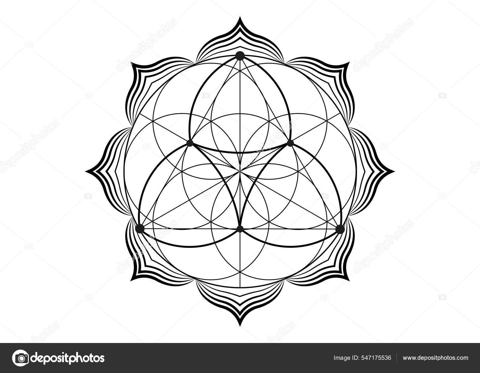 种子生命之花的莲花图标安特拉曼陀罗的神圣几何图形纹身象征和谐与平衡神秘的护身符在白色背景上分离的黑线向量, image size:1600x1243