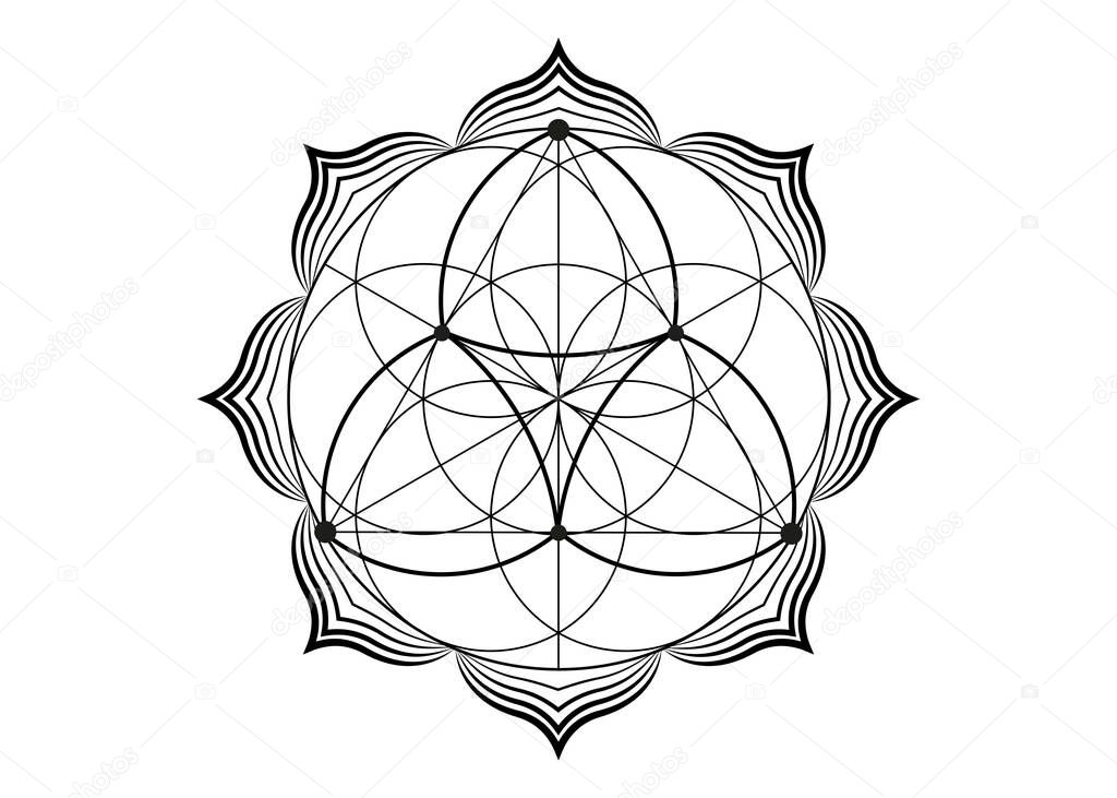 Seed Flower of life lotus icon, yantra mandala sacred geometry, tattoo symbol of harmony and balance. Mystical talisman, black lines vector isolated on white background 