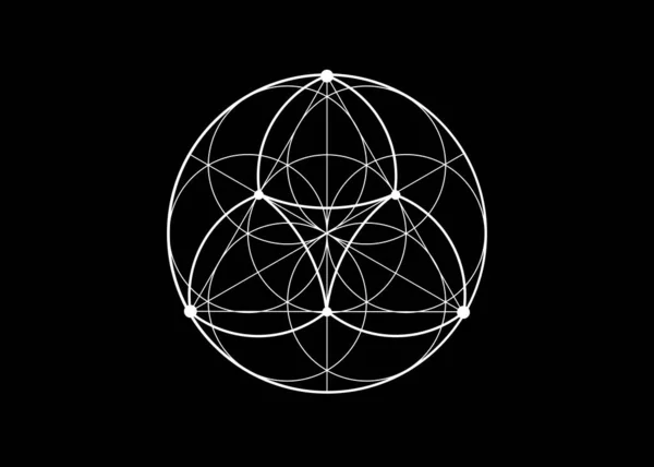 Samenblume Des Lebens Lotussymbol Yantra Mandala Heilige Geometrie Tätowiertes Symbol — Stockvektor