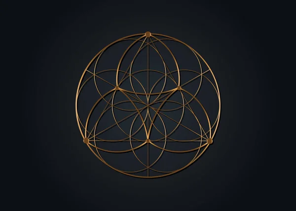 Samenblume Des Lebens Lotussymbol Yantra Mandala Heilige Geometrie Goldenes Symbol — Stockvektor
