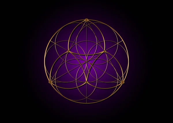 生命蓮のアイコンの種の花 Yantraマンダラ神聖な幾何学 調和とバランスの黄金のシンボル 紫の色黒の背景に単離された神話のお守り 金線ベクトル — ストックベクタ