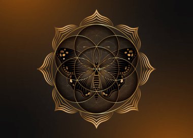 Nilüfer çiçeği ikonu ve siyah sihirli kelebek, yantra mandala kutsal geometri, uyum ve dengenin altın sembolü. Mistik tılsım, eski karanlık arka planda izole edilmiş altın çizgiler vektörü. 