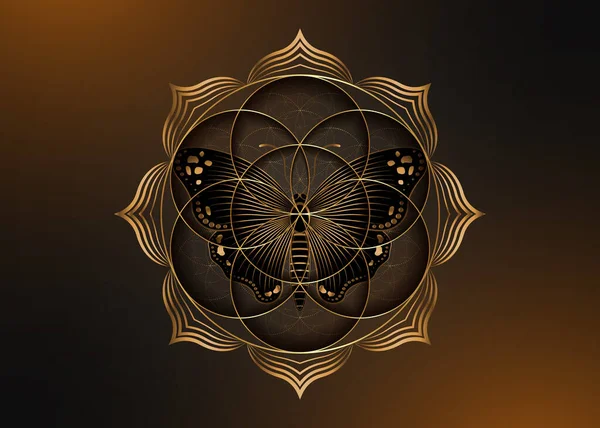 Graine Fleur Vie Icône Lotus Papillon Magique Noir Géométrie Sacrée — Image vectorielle