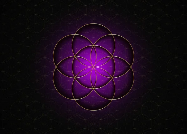 生命蓮のアイコン魔法の紫色のYantraマンダラ神聖な幾何学の種子の花 調和とバランスの黄金のシンボル 神秘的なお守り 黒の高級背景に隔離された金線ベクトル — ストックベクタ