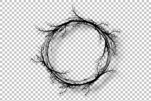 分枝的花环 扭曲分枝的现实的圆形框架边界 在透明的背景上孤立的向量图 — 图库矢量图片