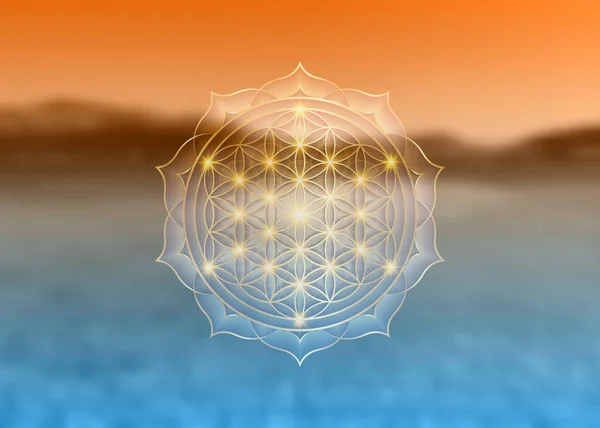 Fleur Vie Yantra Mandala Dans Fleur Lotus Géométrie Sacrée Logo — Image vectorielle