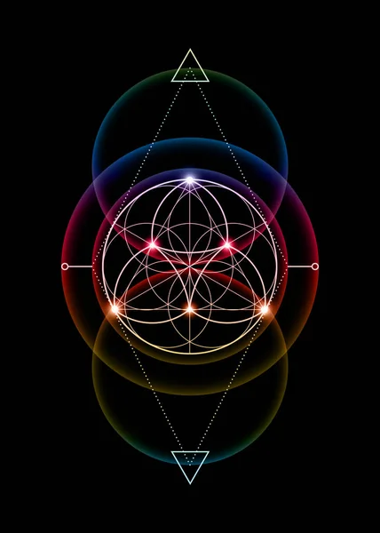 Kutsal Geometri Hayat Çiçeği Nilüfer Çiçeği Mandala Renkli Gradyan Armoni — Stok Vektör