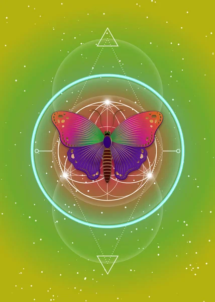 Бабочка Над Мандалой Священная Геометрия Логотип Символ Гармонии Баланса Светящийся — стоковый вектор