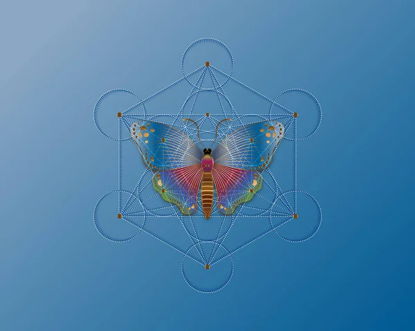 Metatron Küpü Üzerinde Kelebek Yaşam Çiçeği Kutsal Geometri Mistik Ikon — Stok Vektör